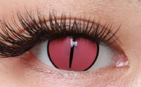 Kamado Nezuko Rose- 1 Year