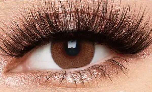 Queen Chocolate -Colored Contact Lenses