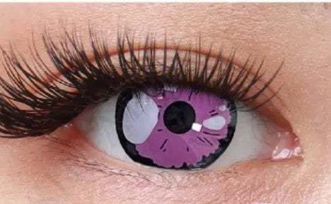 Shizuku Purple- 1 Year